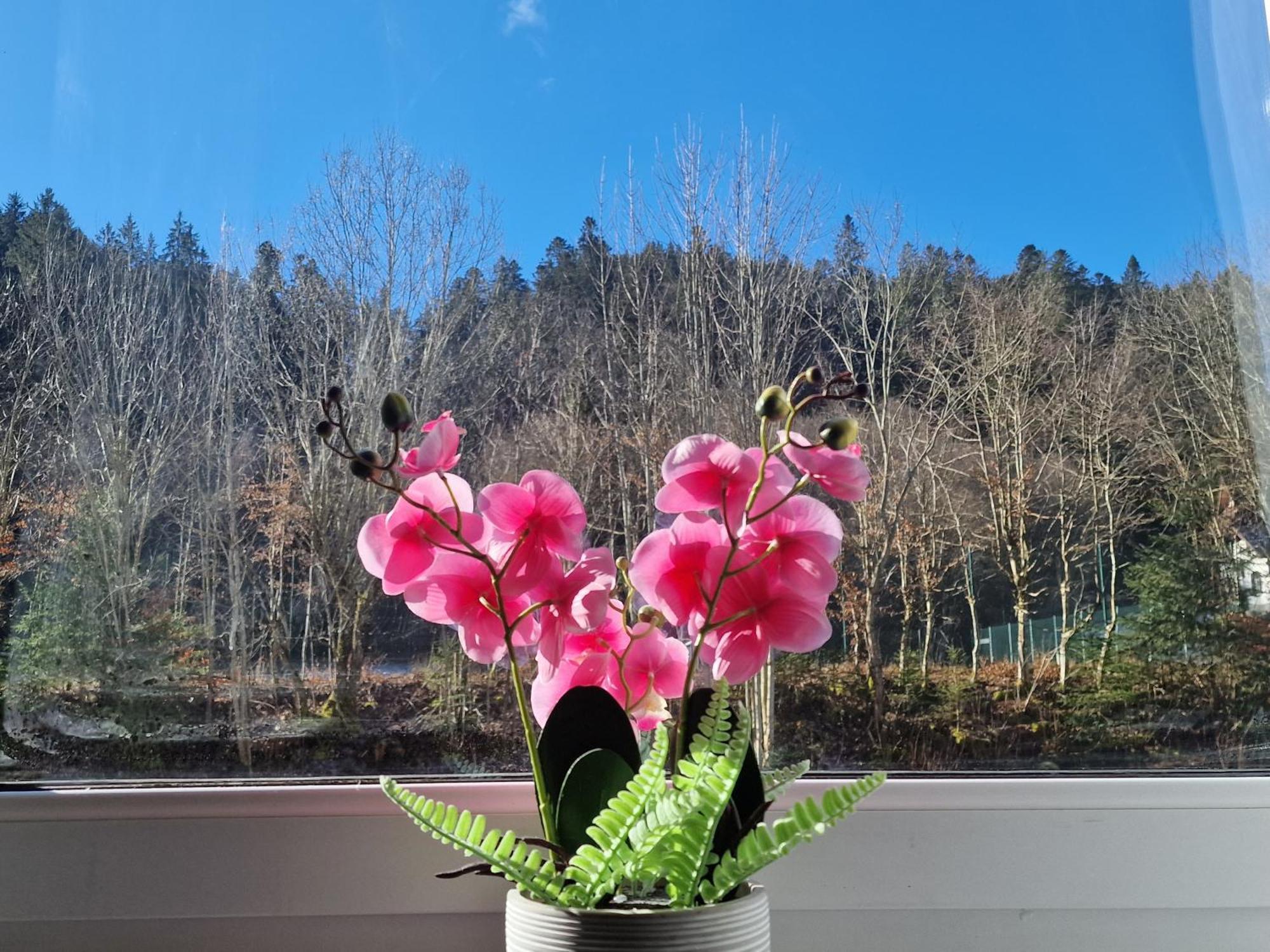 Holiday Apartment Near Triberg Waterfall Triberg im Schwarzwald Exterior foto